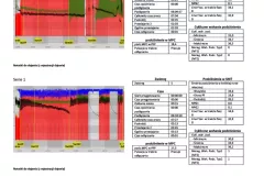 Raport_Biofarmtech_VaDia1024_10