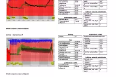 Raport_Biofarmtech_VaDia1024_14