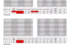 Raport_Biofarmtech_VaDia1024_19