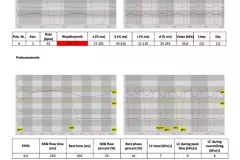 Raport_Biofarmtech_VaDia1024_25