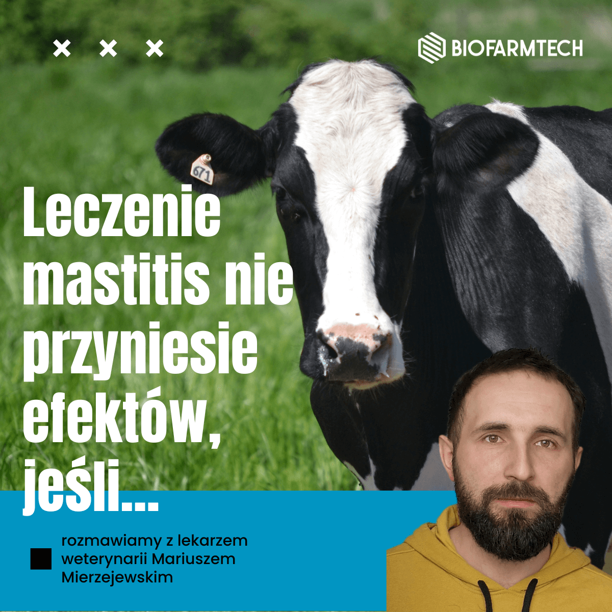 leczenie mastitis wywiad z lekarzem weterynarii Mariuszem Mierzejewskim