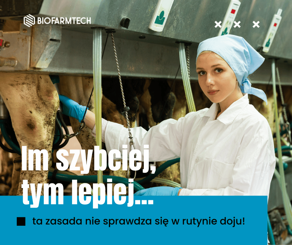 Im szybciej, tym lepiej – ta zasada nie sprawdza się w rutynie doju!
