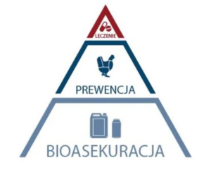 biosekuracja somatyka wymienia krów