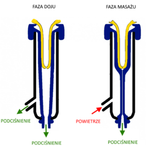 pulsacja system udojowy 