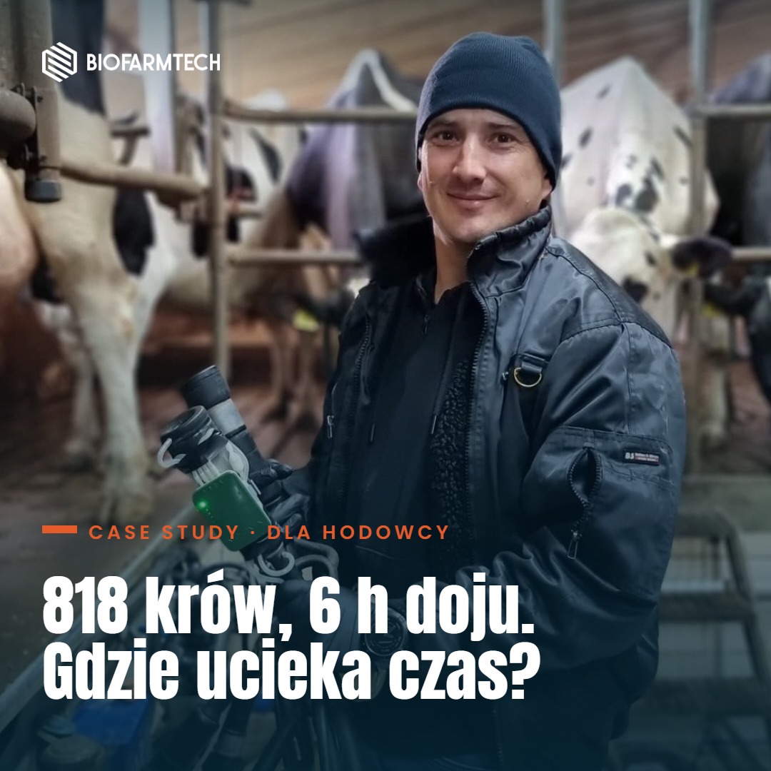Audyt systemu udojowego - hala 2×26, 818 krów